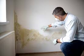 Mold Remediation for Vacation Homes in Summerville, SC